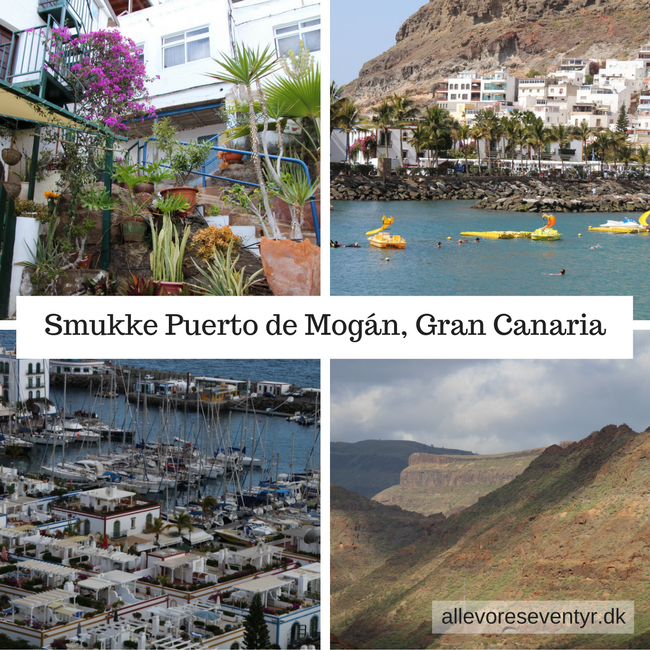 Smukke-Puerto-de-Mogán- Gran-Canaria (1).png