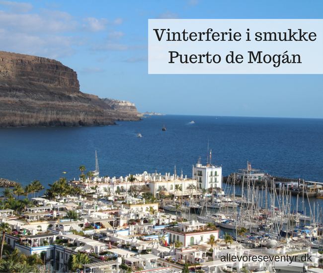Vinterferie-i-Puerto-de-Mógan.png